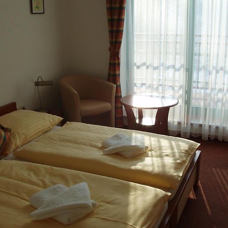 Hotel Loucky Litvínov 외부 사진