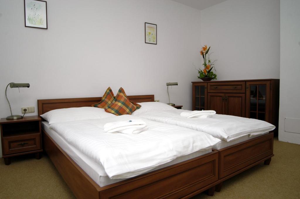 Hotel Loucky Litvínov 객실 사진